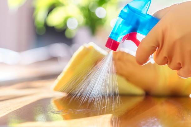 Cleaner 1