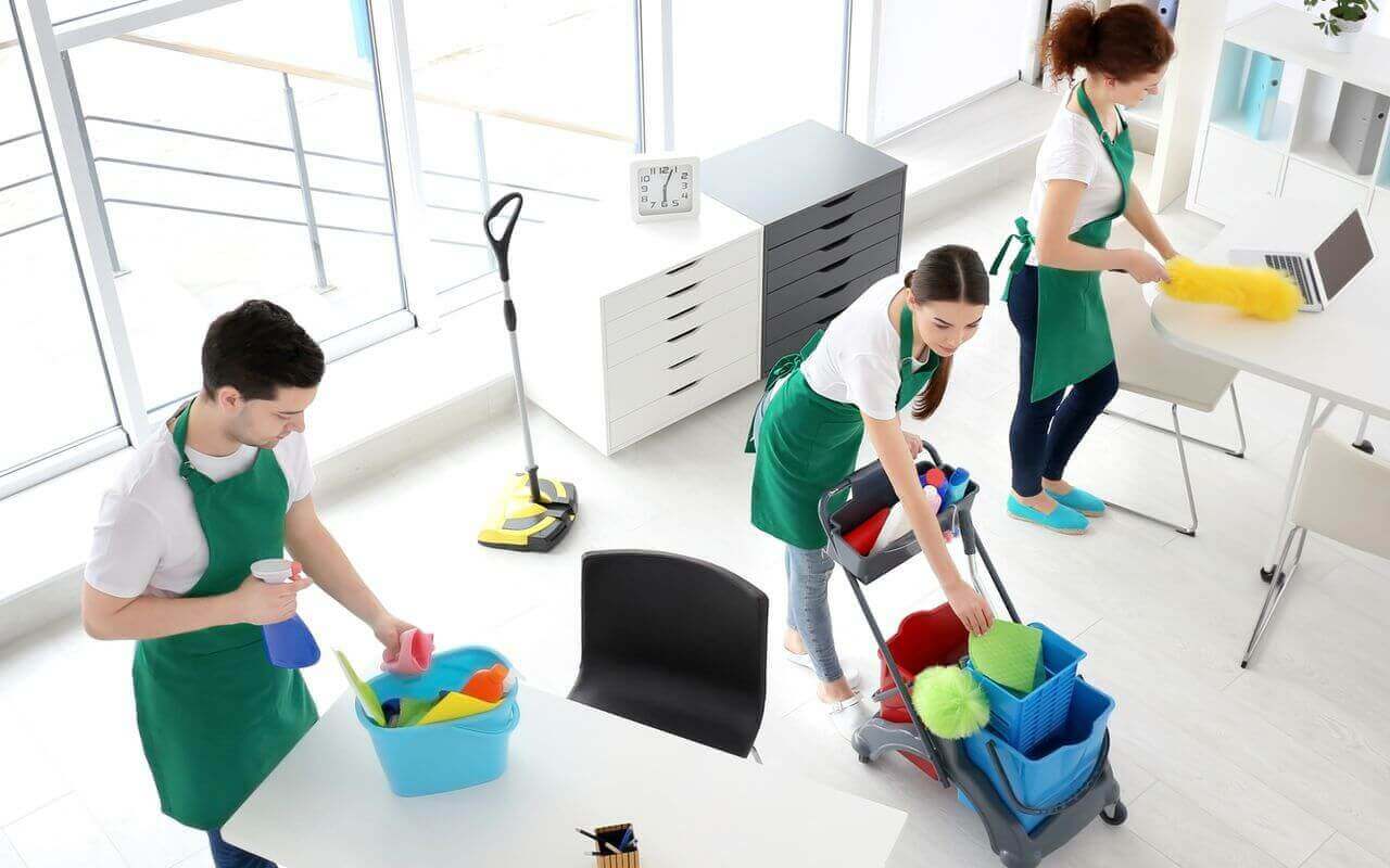 Professional Cleaning in Action