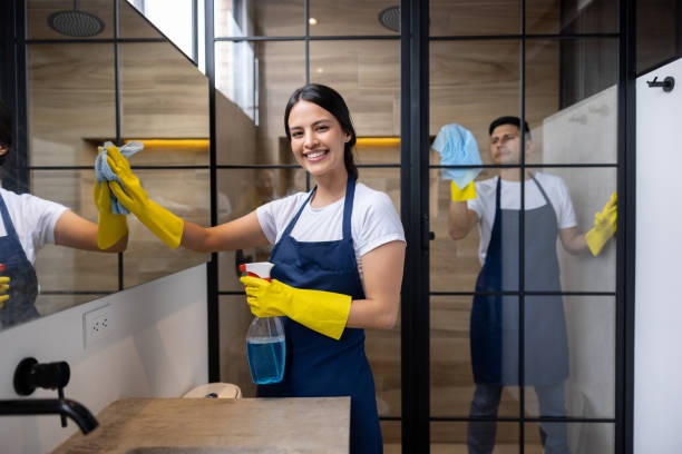 Window Cleaning